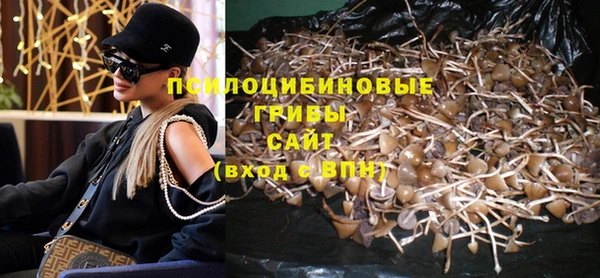 стафф Аркадак