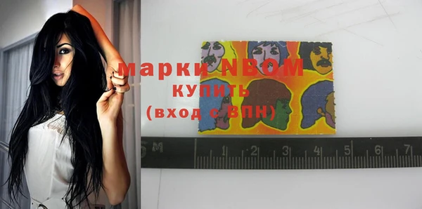 стафф Аркадак