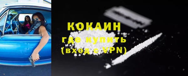 стафф Аркадак
