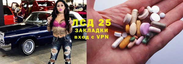 стафф Аркадак