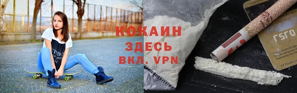 стафф Аркадак