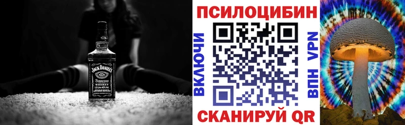 Галлюциногенные грибы Psilocybine cubensis  Купить где  Барабинск 